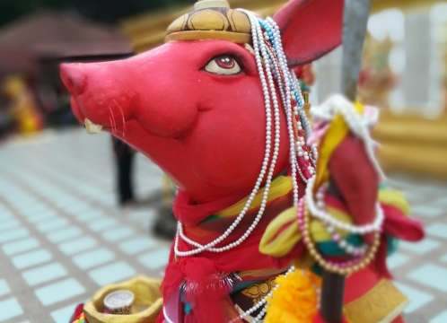 ピンクガネーシャ