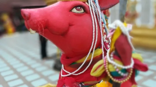 ピンクガネーシャ