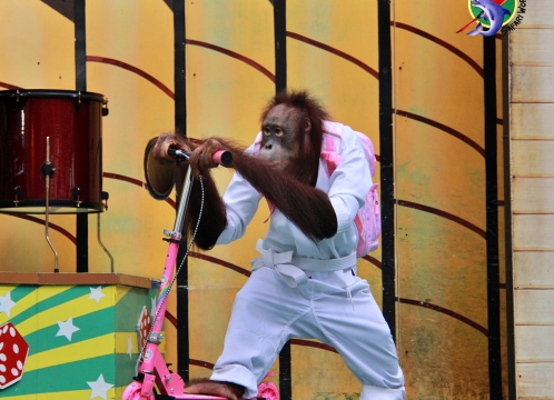 サファリワールド