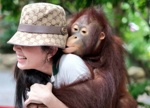 サファリワールド