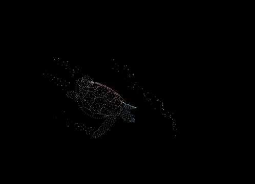 Vijit_Chao_Phraya2025(ヴィジットチャオプラヤー2025)