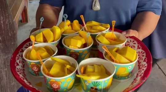 完熟マンゴー試食