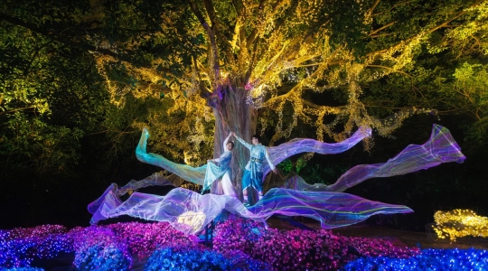 タイ伝統衣装フォト×イルミネーション