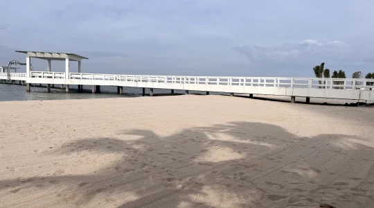 ビーチ