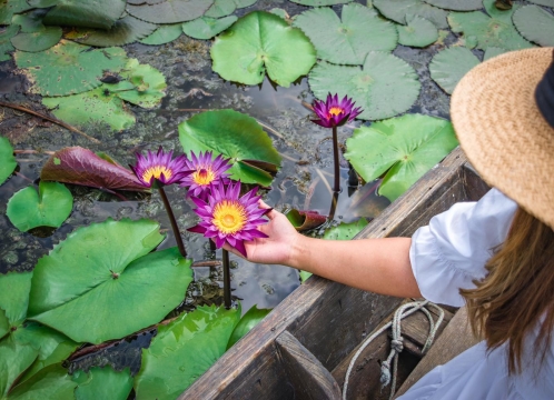 レッドロータス水上マーケット