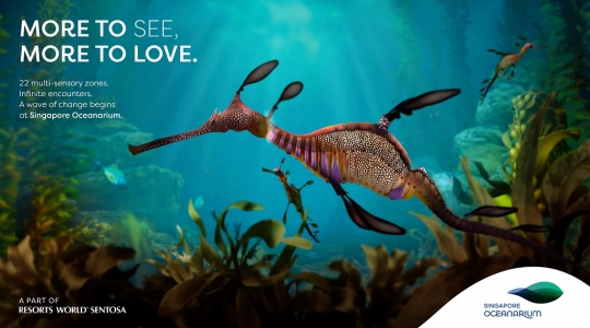 オーシャンアリウム（Oceanarium）