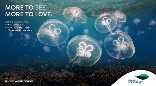 オーシャンアリウム（Oceanarium）