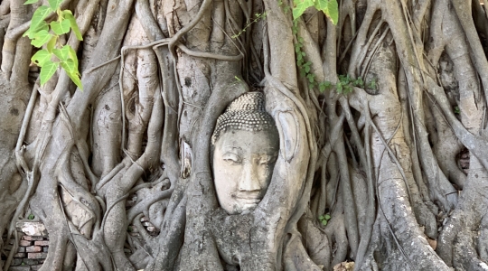 ワット・マハタート