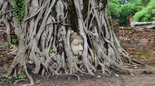 ワット・マハタート