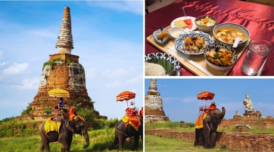 象カフェ＆ランチ付き