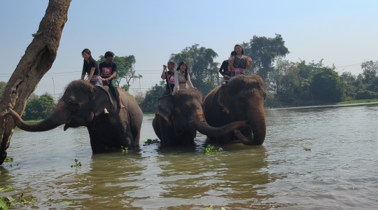 象乗り体験_お世話体験ツアー