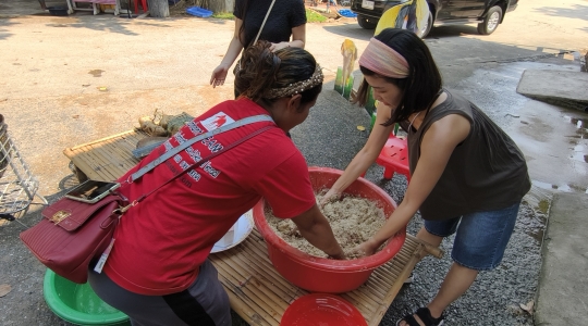 象乗り体験_お世話体験ツアー