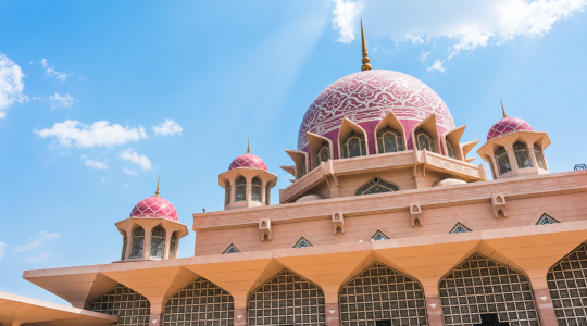 ピンクモスク