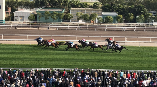 国際競馬4