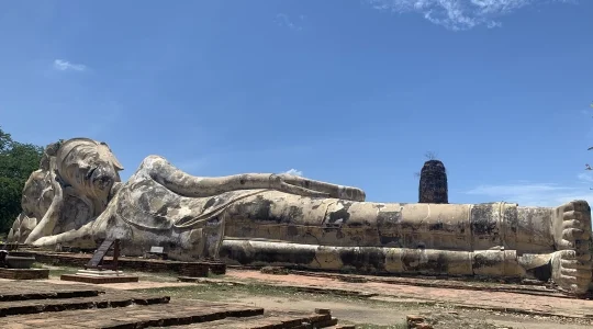 ワットロカヤスター