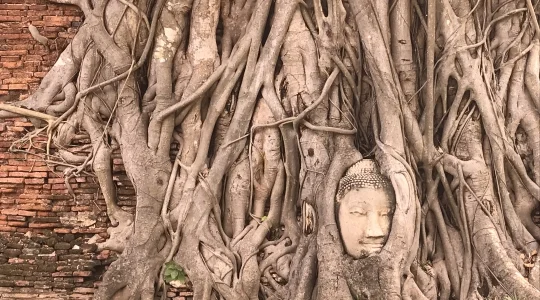 世界遺産アユタヤ＿ワットマハタート