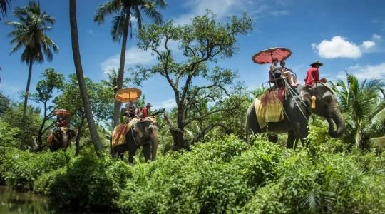 水の中もジャブジャブ歩く！本格象乗り体験 + メークロン線路市場で列車乗車ツアー
