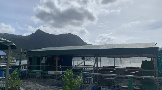 イメージ”：浮島