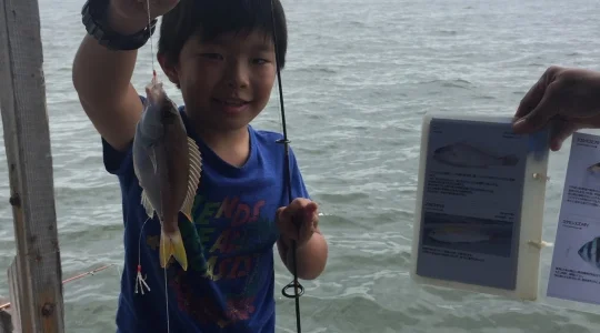 シラチャ沖　シーチャン島でいかだ釣り＜竿レンタルプランあり/お弁当/日本語ガイド付き/初心者・子供OK＞