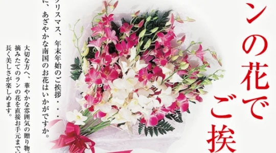 ランの花