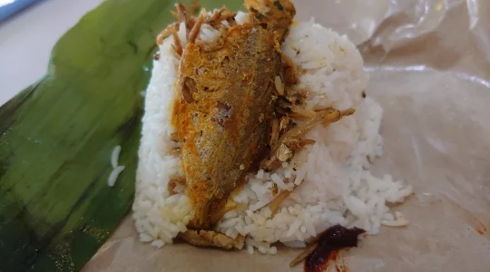 ナシレマ