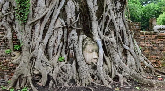 世界遺産アユタヤ観光_ワットマハタート