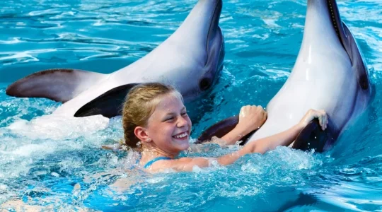 Dolphinarium_in_Pattaya