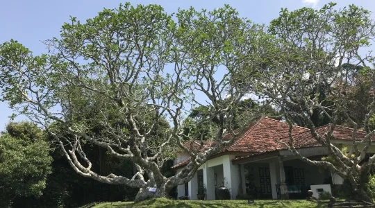 Lunuganga