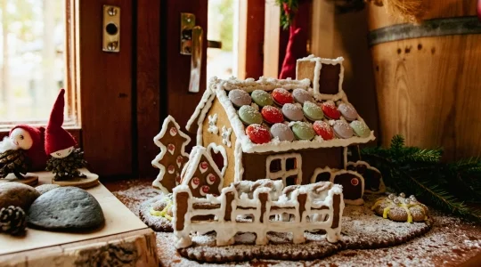 フィンランドオンラインツアー