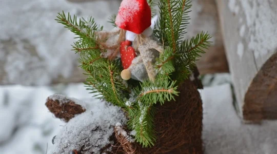 北欧のクリスマス