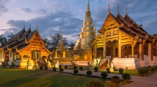 ワットプラシン