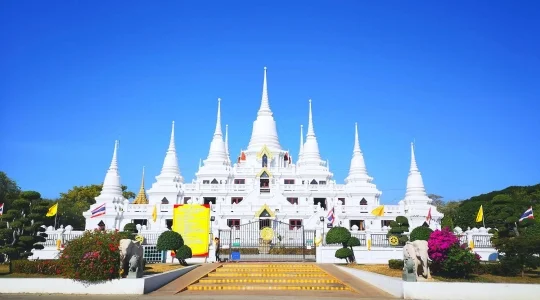 ワットアソカラーム