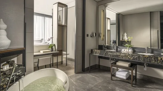 スタジオファミリースイート＿コートヤード