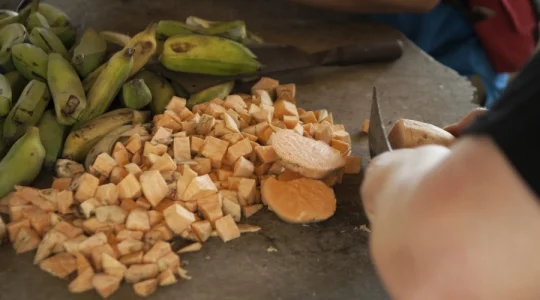 エレファントワールドでボランティア活動