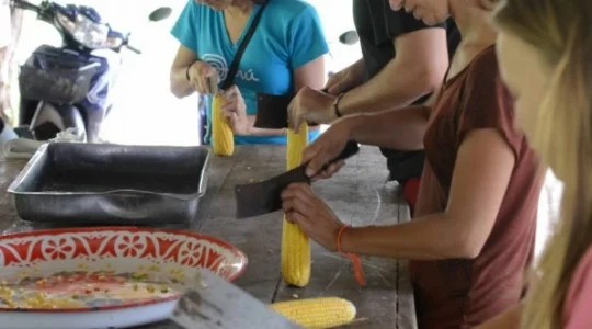 エレファントワールドでボランティア活動