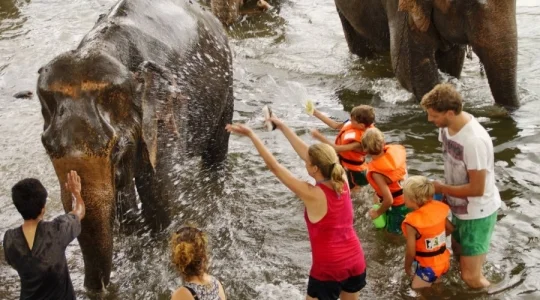 エレファントワールドでボランティア活動