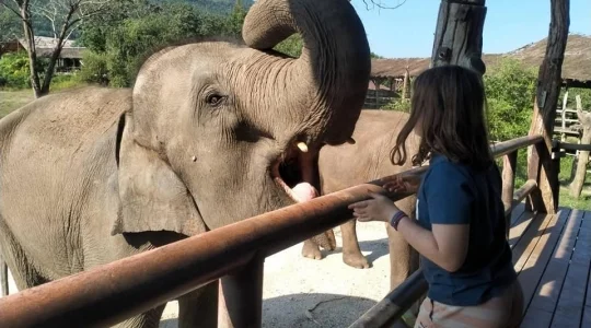 エレファントワールドでボランティア活動