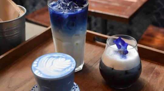 ブルーホエールマハラートカフェ