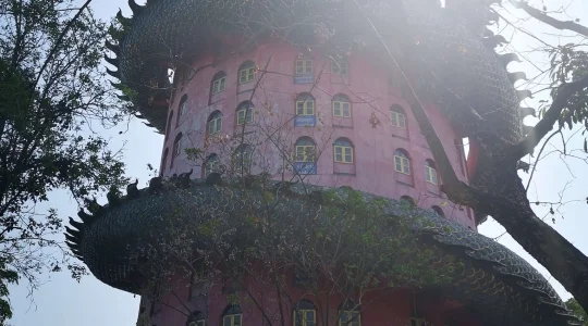 ワットサムプラン