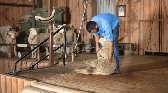 パラダイスカントリー