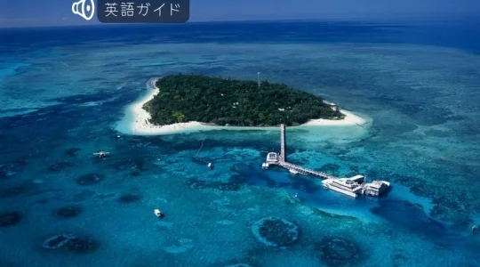 大人気！世界遺産グリーン島ディスカバリーツアー