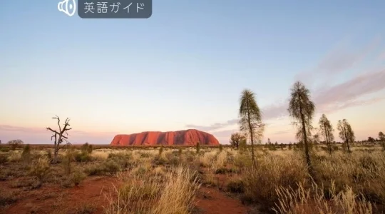 ウルルサンライズとカタジュタ 半日ツアー