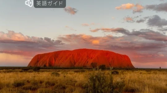 ウルル聖地巡礼とサンセット半日ツアー