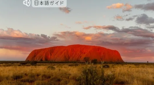 エアーズロック満喫観光パッケージ「ロックコネクション」