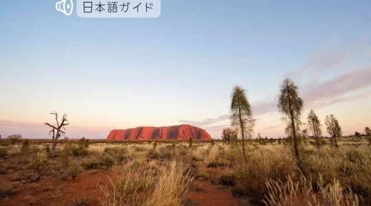 ウルルサンライズとカタジュタツアー