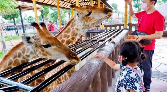 シーアユタヤ