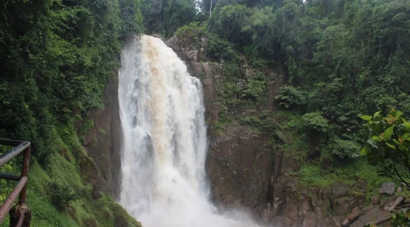 世界自然遺産カオヤイ