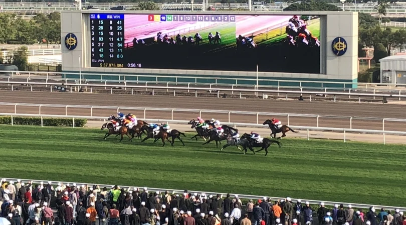 イメージ：競馬ツアー