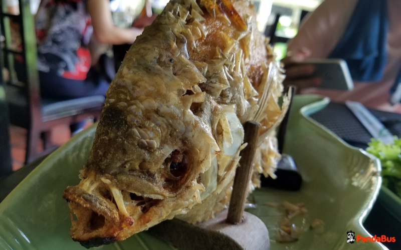 ベトナム 予約 朝はゆったり出発 メコン川クルーズ ココナッツキャンディー工場とハチミツ農園見学 蛍鑑賞ツアー 日本語ガイド 1日 手漕ぎボート体験 エレファントフィッシュの昼食 夕食付き