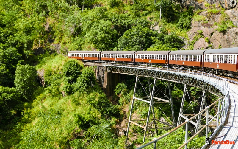 キュランダ鉄道 世界遺産キュランダ（鉄道＋スカイレール）☆午後発半日プラン＜日本語